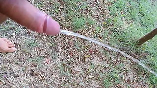 10258 cock porn videos